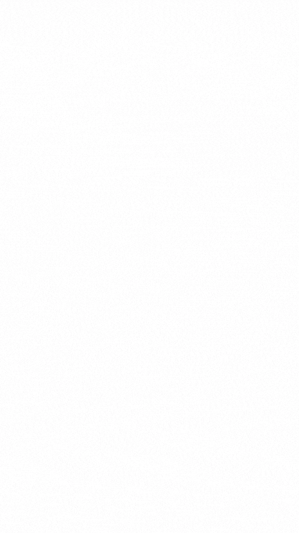 local or interstate removalist