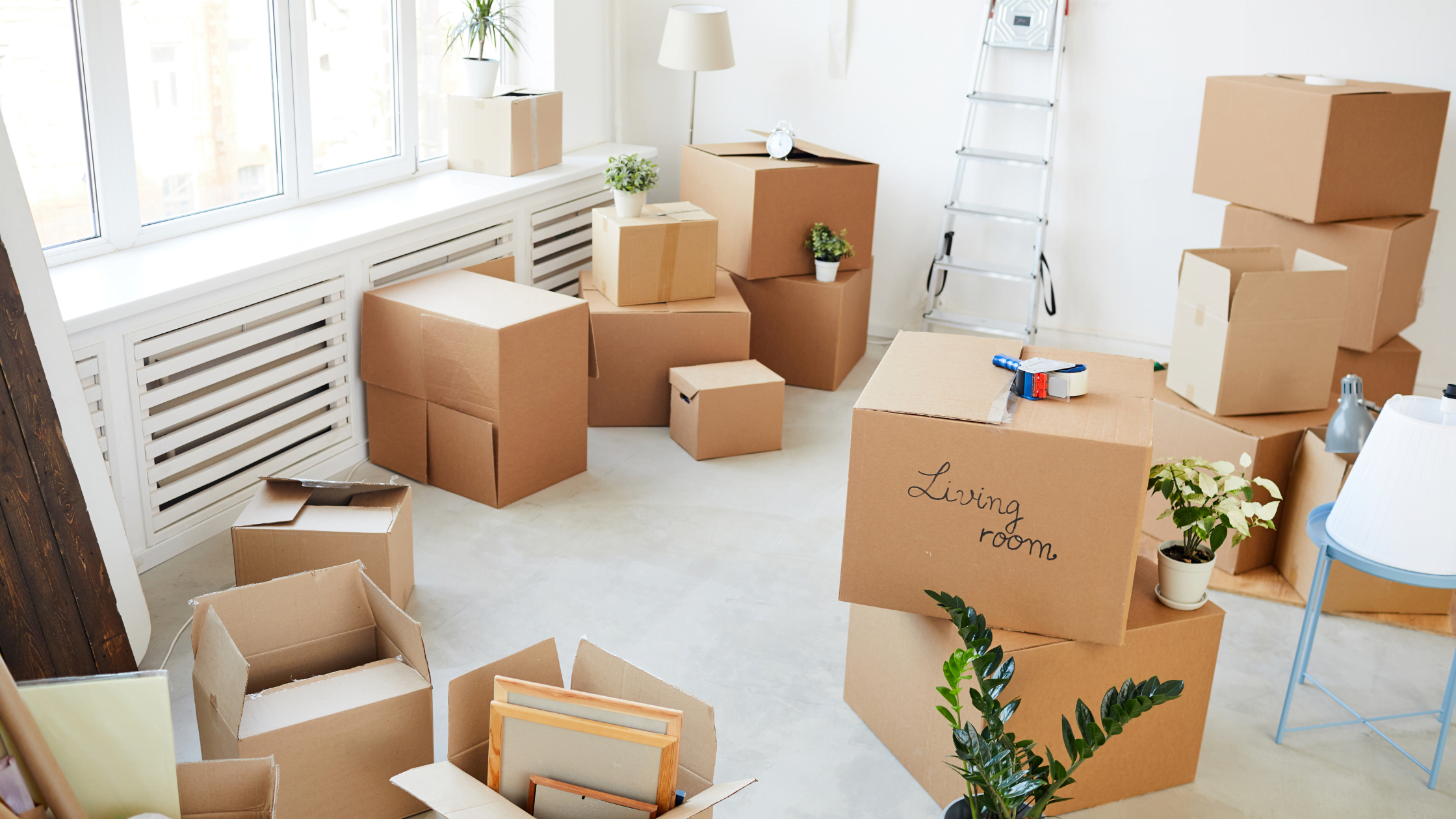 house moving