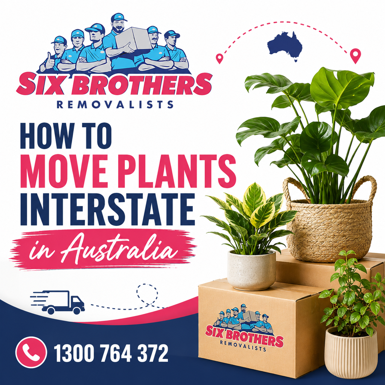 How to move plants interstate in Australia safely with Six Brothers Removalists and expert moving support
